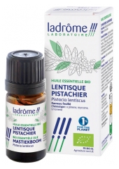 Ladr&ocirc;me Etherische Olie Mastiekboom (Pistacia Lentiscus) Bio 5 ml