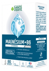 Sant&eacute; Verte Magnezij + B6 60 Tablet