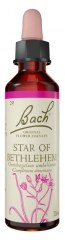 Bach Ziedi Oriģināls Star of Bethlehem 20 ml