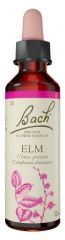 Oriģinālās Baha ziedu esences Elm 20 ml