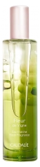 CaudalieAgua Refrescante Flor de Vid 50 ml