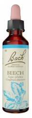 Bachin Alkuper&auml;iset Kukkauutteet Beech 20 ml