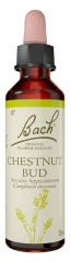 Alkuper&auml;inen Bachin kukkatipat Chestnut Bud 20 ml
