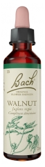Fleurs de Bach Original Orzech Włoski 20 ml