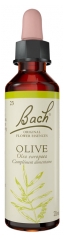 Florile de Bach Original Măslin 20 ml