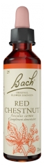Originalios Bacho gėlės &bdquo;Red Chestnut&ldquo; 20 ml