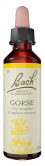 Fleurs de Bach Original Gorse 20 ml