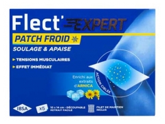 Flect'Expert Parches Fr&iacute;os 5 Piezas