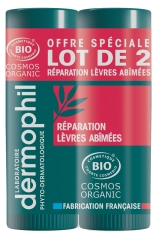 Dermophil Indien Korjaus Vaurioituneille Huulille Bio Stick Pakkaus 2 x 4 g