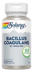 Solaray Bacillus Coagulans i Inulina 2.5 Billion 60 Vegetable Capsules
