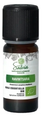 Salvia Nutrition Luomu Ravintsara Eteerinen &Ouml;ljy 10 ml