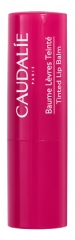 B&aacute;lsamo Labial con Color de Caudalie 4,5 g