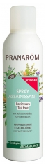 Pranar&ocirc;m Aromaforce Sanitizing Spray Ravintsara Tea Tree Organic 150ml
