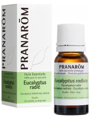 Pranar&ocirc;m S&auml;teilev&auml;n Eukalyptuksen Eteerinen &Ouml;ljy (Eucalyptus radiata) 10 ml