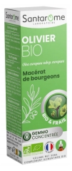 Santarome Olivo BIO 30 ml