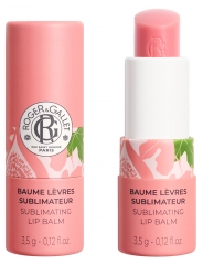 Roger & Gallet Fiore di Fico Balsamo Labbra Sublimante 3,5 g