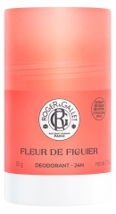 Roger & Gallet Figenblomst Deodorant 24H 50 g