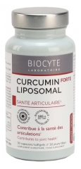 Biocyte Longevity Liposomal Curcumin Forte 30 kapsulės