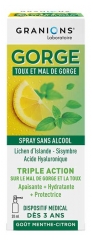 Granions Gorge pur&scaron;kalas nuo kosulio ir gerklės skausmo 20 ml