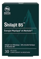 Phytoresearch Shilajit B5 30 G&eacute;lules