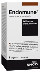 NHCO Endomune Immunabwehr 42 Kapseln