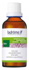 Ladr&ocirc;me Extrait de Plante Fra&icirc;che Epilobe Bio 50 ml