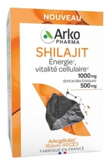Arkopharma Arkog&eacute;lules Shilajit 60 G&eacute;lules
