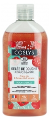 Coslys Bl&oslash;dg&oslash;rende Brusegel&eacute; Jordb&aelig;r & Tomat Bio 250 ml