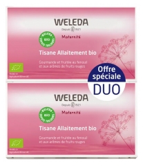 Weleda Motinystė Žindymo Arbata Raudonieji Vaisiai Ekologi&scaron;ka 2 x 20 mai&scaron;elių pakuotė