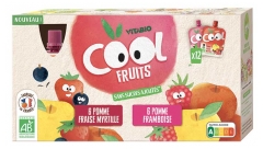 Vitabio Cool Fruits Multiparfums 2 Recettes Bio 12 Gourdes de 90 g