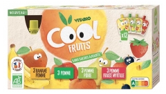 Vitabio Cool Fruits Multiparfums 4 Recettes Bio 12 Gourdes de 90 g