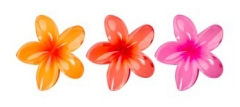 Brushworks 3 Clame tip Clește Flori Tropicale