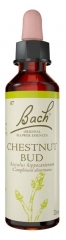 Flores de Bach Original Chestnut Bud 20 ml