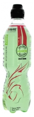 Bebida L-Carnitina Eric Favre 500 ml - Gosto : Mojito