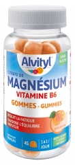 Alvityl Hořč&iacute;k Vitam&iacute;n B6 Meruňka 45 Gummies