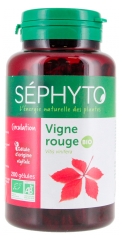 S&eacute;phyto Blodcirkulation Stedsegr&oslash;n & R&oslash;de Vin &Oslash;kologisk 200 Kapsler