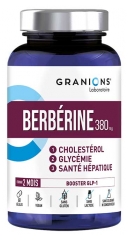 Granions Berb&eacute;rine 380 mg 60 G&eacute;lules