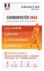 Granions Chondrost&eacute;o+ Max 60 tabletes