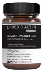 Aragan Synactifs Lipso-CAktiv 40 Kapseln