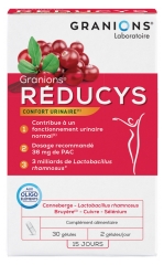 Granions R&eacute;ducys Urinary Comfort 30 Capsules