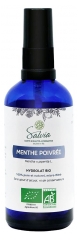 Salvia Nutrition Ekologisk Pepparmynta 100 ml
