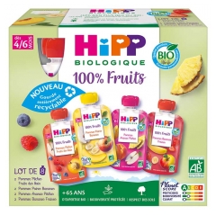 HiPP 100% Frutta da 4/6 Mesi Bio 8 Pouch