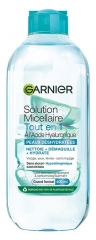 Garnier Hyaluron Kaikki yhdess&auml; -misellivesi 400 ml