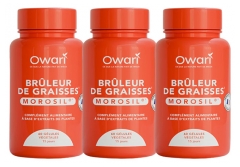 Owari Arzător de Grăsimi Morosil set de 3 x 60 Capsule Vegetale