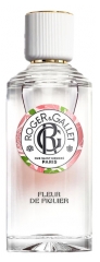 Roger & Gallet Fleur de Figuier Eau Parfum&eacute;e Bienfaisante 100 ml