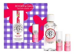 Roger & Gallet Gingembre Rouge Coffret Eau Parfum&eacute;e Bienfaisante 100 ml + Parfum Solide Rose Bienfaisant 5 g Gratis
