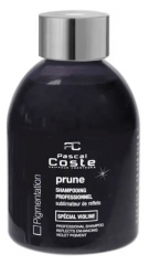 Pascal Coste Szampon podkreślający śliwkowe refleksy