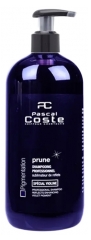 Pascal Coste Reflexframh&auml;vande schampo Plommon 500 ml