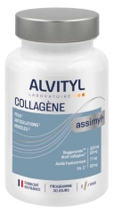 Alvityl Assimyl+ Kolagen 60 Kapsułek