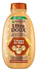 Garnier Ultra Doux Champ&ocirc; Reconstituinte Tesouros de Mel Cabelos Fr&aacute;geis 400 ml